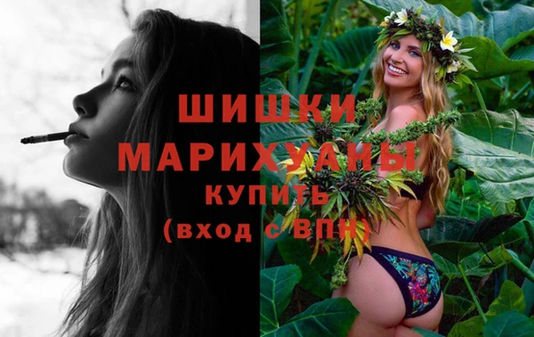 mdpv Каменка