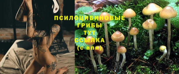ешки Каменногорск